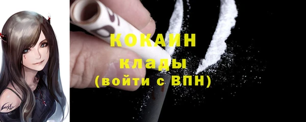 ПСИЛОЦИБИНОВЫЕ ГРИБЫ Вязники