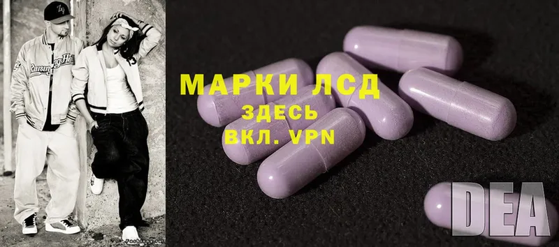 магазин  наркотиков  Боровичи  сайты даркнета как зайти  Лсд 25 экстази ecstasy 